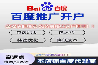 行业领先企业的SEM运营策略案例解析